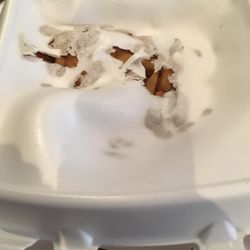 Pizza My Love - Melted container