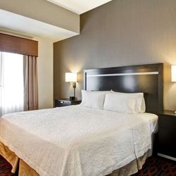 Hampton Inn & Suites by Hilton Red Deer - Guest room