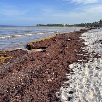 Grand Palladium Kantenah - Beach. - Resorts Near Me - Solidaridad, ROO