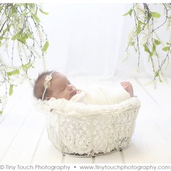 Tiny Touch Photography - 1 week old newborn portraits by Tiny Touch Photography.