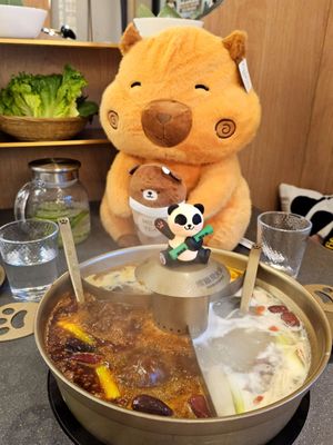 Nanshan Hot Pot - Flushing｜南山•熊猫烫火锅 - 法拉盛店 by null