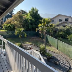 Kokua Tree Care - The tree and area after they were done!