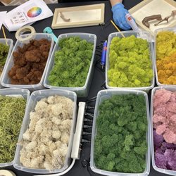 Fancy Plants - Took a moss art class here with Little Orchid Annie in May 2025. Here are all the various colored mosses we used.