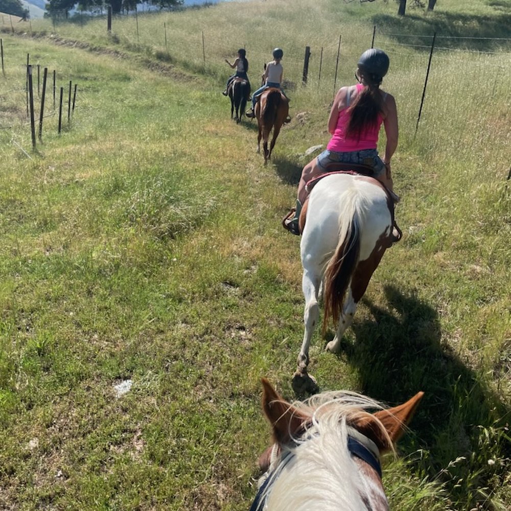 Trails of 49 - Horseback Riding Near Me - San Andreas, California Trails of 49 - Horseback Riding Near Me - San Andreas, California
