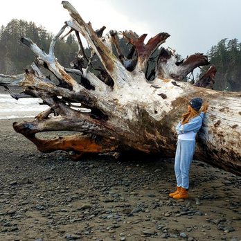 First Beach at La Push - Beaches Near Me - Forks, Washington First Beach at La Push - Beaches Near Me - Forks, Washington