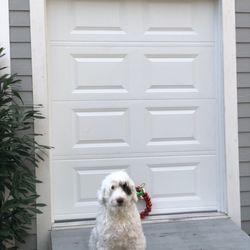 Morin & Pepin Garage Door - Garage Door