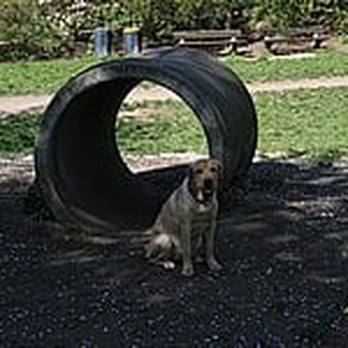 1. Hundewiese Walter-Möller-Park