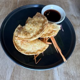 Duck Wontons Duck Wontons