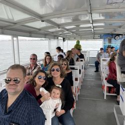 Baywatch Dolphin Tours - Customers in the boat with Bar and restroom with the back