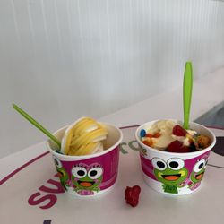 sweetFrog Premium Frozen Yogurt