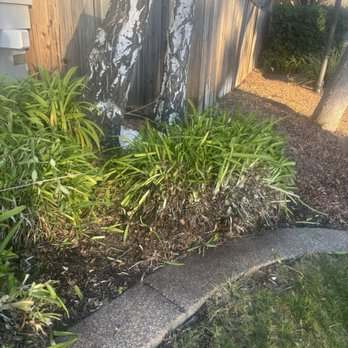 Lucky Star Landscaping - Landscaping Near Me - San Leandro, California Lucky Star Landscaping - Landscaping Near Me - San Leandro, California