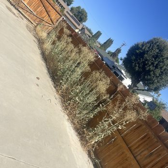 Better Every Day Landscaping - Before pic of side yard - Landscaping Near Me - Hemet, California Better Every Day Landscaping - Before pic of side yard - Landscaping Near Me - Hemet, California