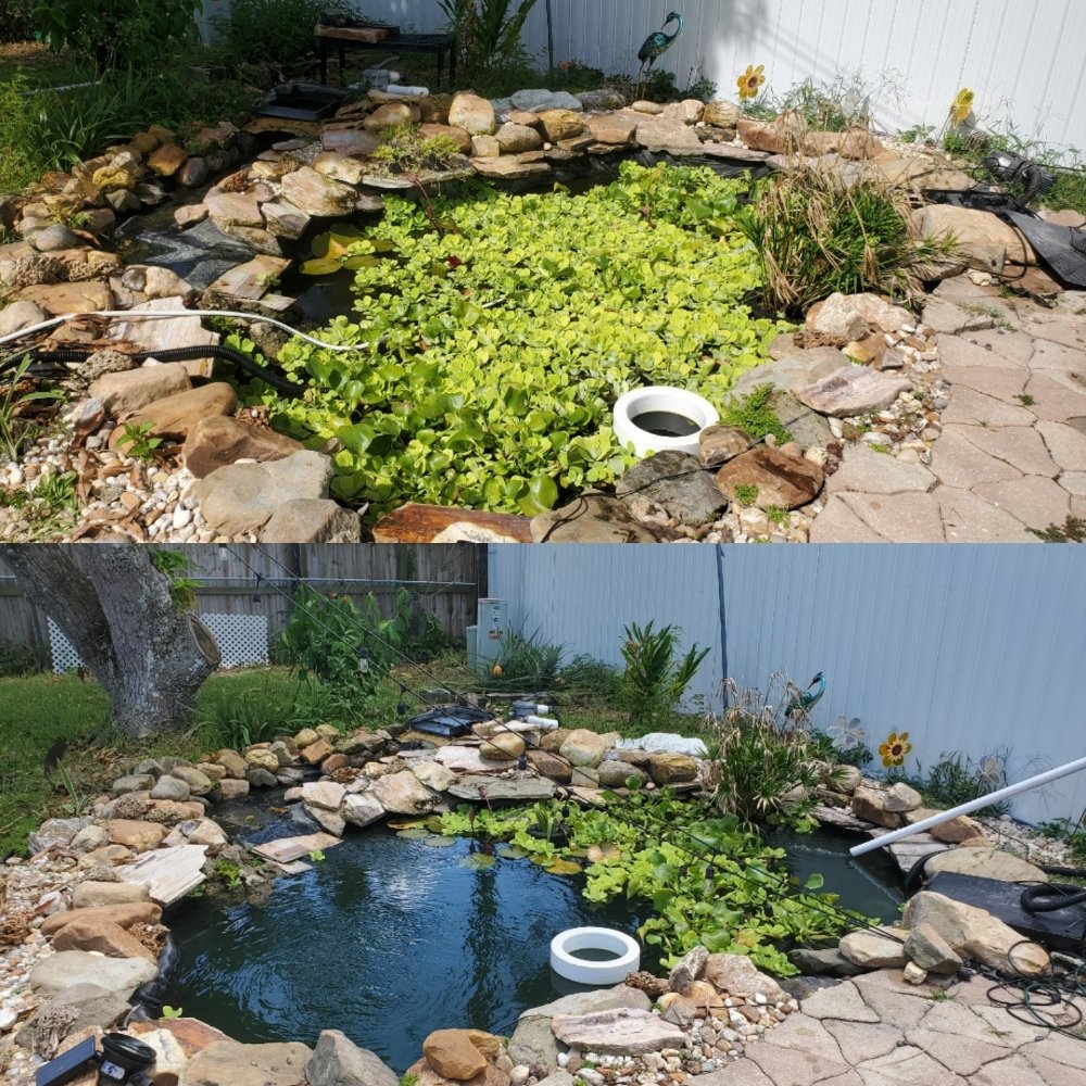 IQUADICS AQUARIUMS PONDS Request Information 26 Photos Hollywood, Florida Aquarium