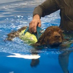 Manny started with the life jacket and graduated to swimming solo after gaining some confidence! Manny started with the life jacket and graduated to swimming solo after gaining some confidence!