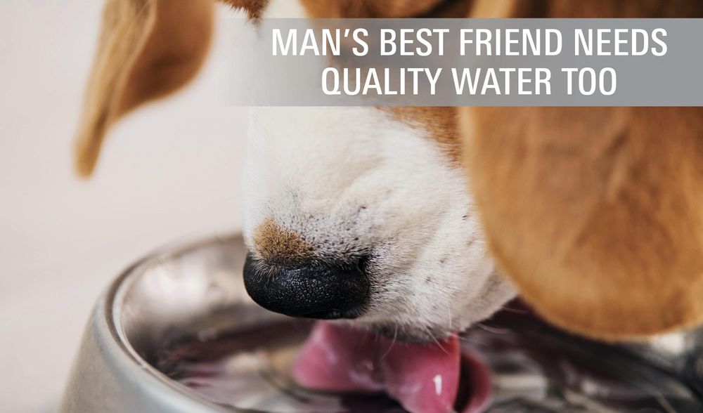 Slide of Gentry Plumbing