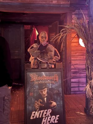 Bayville Adventure Park by null