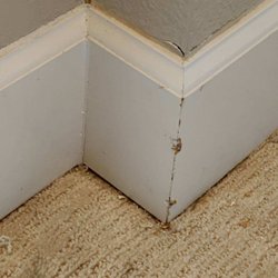 American Master Movers - Trim and drywall damage