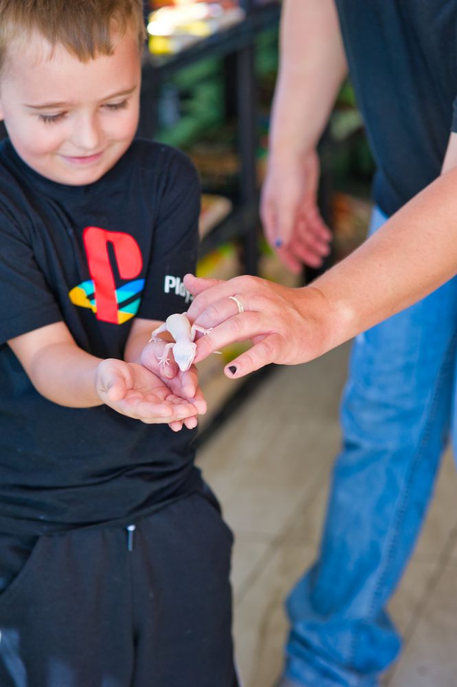 TROPICAL OASIS FISH AND PETS Updated August 2024 Request