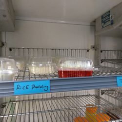 Sean's Quality Deli