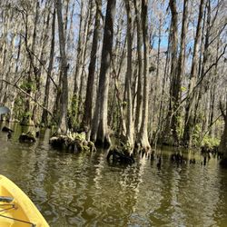 Peace of Mind Kayak Tours