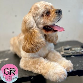 Mia's Pet Grooming - Pet Groomers Near Me Mia's Pet Grooming - Pet Groomers Near Me