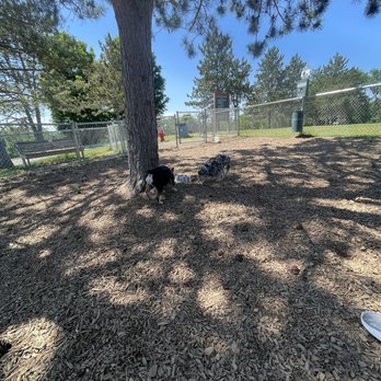 Dog Park At Willow Park - Dog Parks Near Me - Bennington, Vermont Dog Park At Willow Park - Dog Parks Near Me - Bennington, Vermont
