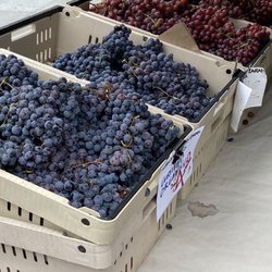 Schletewitz Family Farm - Juicy Grapes