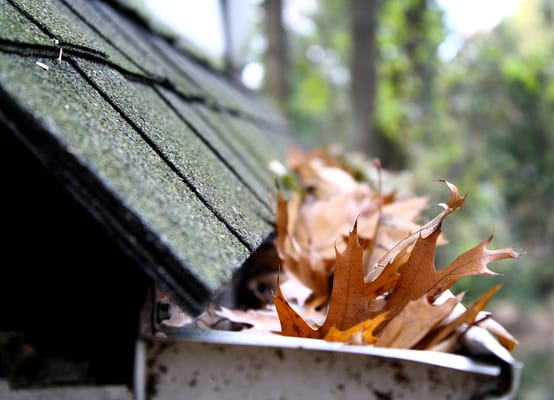 Ace Guttering Cleanings - Call Now, Call Today! (816) 737-8620

Ace Guttering & Siding provides gutter cleaning, replacement, and repair as well as siding repair and fascia board replacement to Kansas City, MO, and surrounding areas.