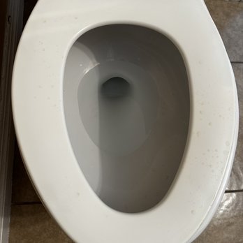 Colony Inn - Pee all over the toilet - Hotels Near Me - North Hollywood, California Colony Inn - Pee all over the toilet - Hotels Near Me - North Hollywood, California
