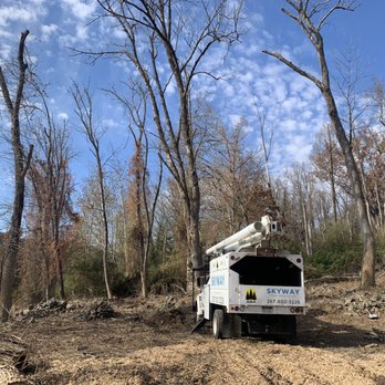 Skyway Tree Service - Tree Services Near Me - Hatboro, Pennsylvania Skyway Tree Service - Tree Services Near Me - Hatboro, Pennsylvania