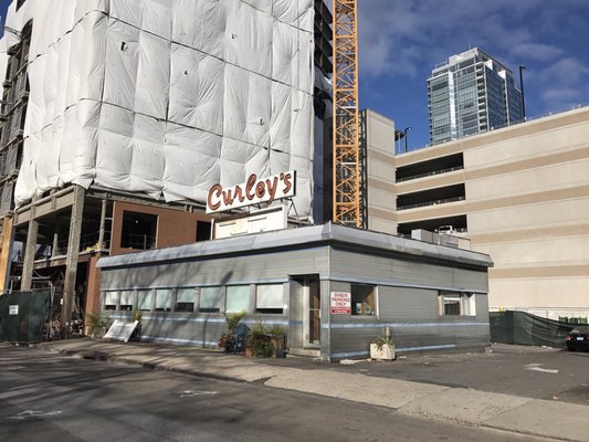 Curley's Diner by null