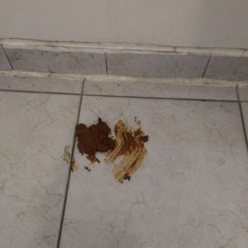 Siegel Suites Senator - Close up of shit on floor 3rd floor restroom with tuband a broken sink - Apartments Near Me - Reno, Nevada Siegel Suites Senator - Close up of shit on floor 3rd floor restroom with tuband a broken sink - Apartments Near Me - Reno, Nevada