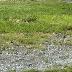 RV Resort At Carolina Crossroads