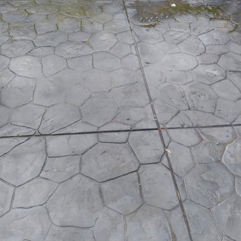 Creative Concrete Design - a bird sitting on the ground - General Contractors Near Me - Novato, California
