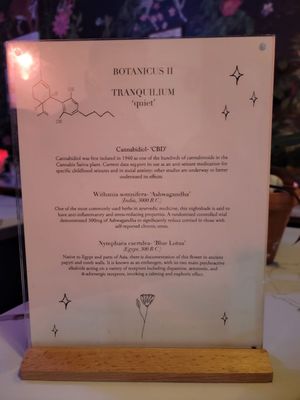 BKE Kombucha by null