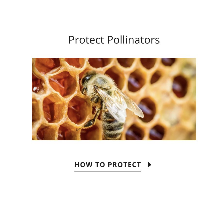 ONE EARTH PEST CONTROL Updated May 2024 Toledo, Ohio Pest Control Phone Number Yelp