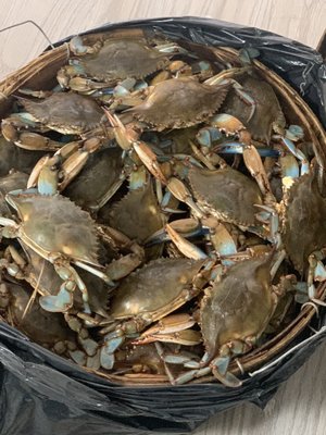 PHIL’S LIVE CRABS - Updated December 2025 - 14 Photos & 41 Reviews - 10 ...