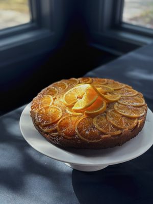 The Annapolitan by null