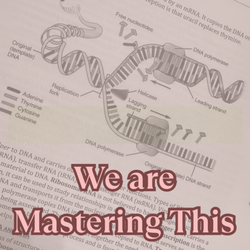 Stessa's Secret - We help our clients understand even the most difficult concepts. After each session, you will leave with a new level of understanding.