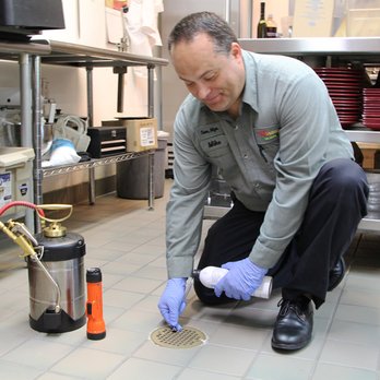 Arrow Services - Pest Control Near Me - South Bend, Indiana Arrow Services - Pest Control Near Me - South Bend, Indiana