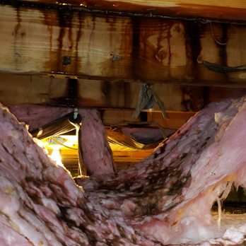 Truss Home Inspection Services - Water leak into crawlspace. - Home Inspectors Near Me - Fredericksburg, Virginia Truss Home Inspection Services - Water leak into crawlspace. - Home Inspectors Near Me - Fredericksburg, Virginia