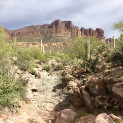 Gold Canyon Mountain Bike Trails - Blue stairs!