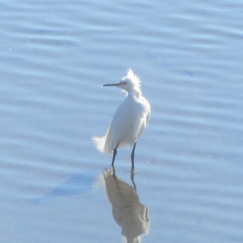 Malibu Lagoon State Beach - Beaches Near Me - Malibu, California