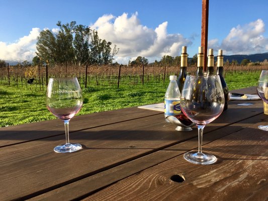 Canihan Wines by null