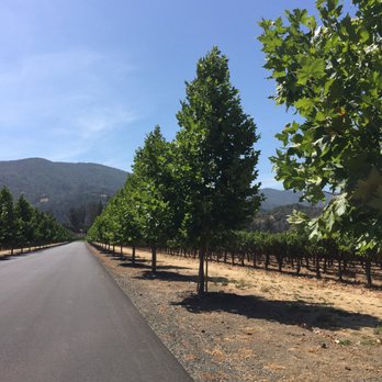 Inglenook - Nice - Wineries Near Me - Rutherford, California