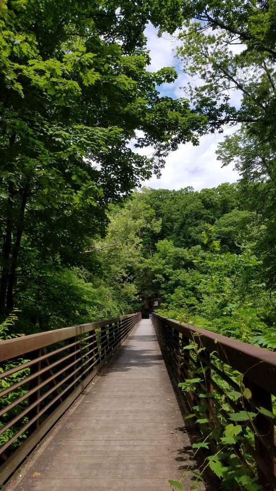 Starr's Cave Nature Center Logo
