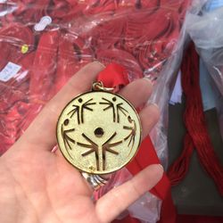 Special Olympics Illinois - Special Olympics Gold Medal