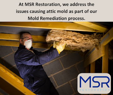 MSR Restoration - mold inspector in Haddon Township, NJ