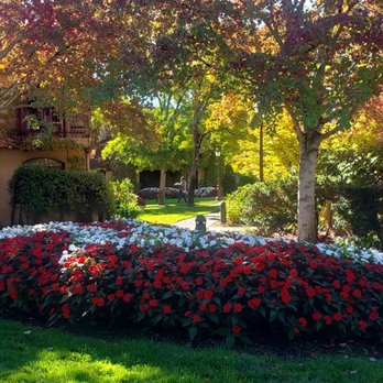 River Vine - Beautiful grounds - Breakfast & Brunch Near Me - Santa Rosa, California River Vine - Beautiful grounds - Breakfast & Brunch Near Me - Santa Rosa, California