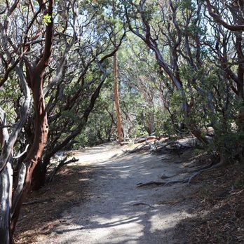 Idyllwild Nature Center - Well maintained trails - Hiking Near Me - Idyllwild, California Idyllwild Nature Center - Well maintained trails - Hiking Near Me - Idyllwild, California